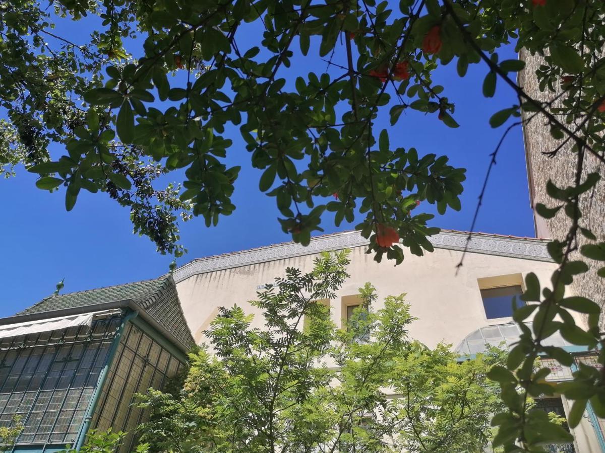 Villa Sainte Marie Narbonne Exterior photo